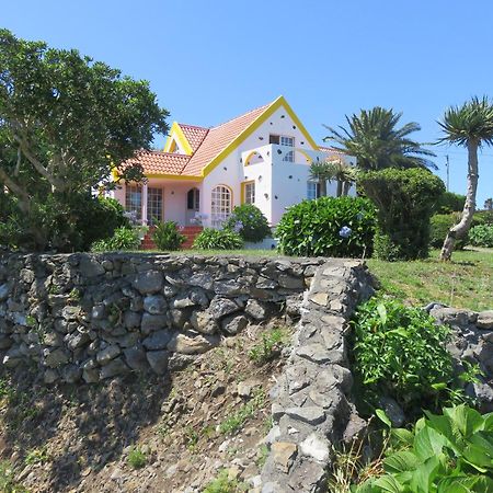 Villa Cedros Санта-Круш-даш-Флориш Экстерьер фото
